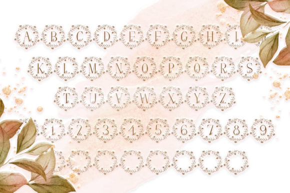 Petite Floral Monogram Font PNG with transparent background - Preview 3