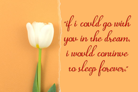 Agoda Font - Preview 4