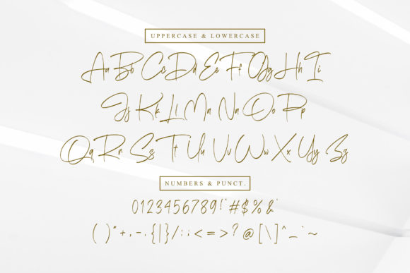 Bulgaryyan Font - Preview 6