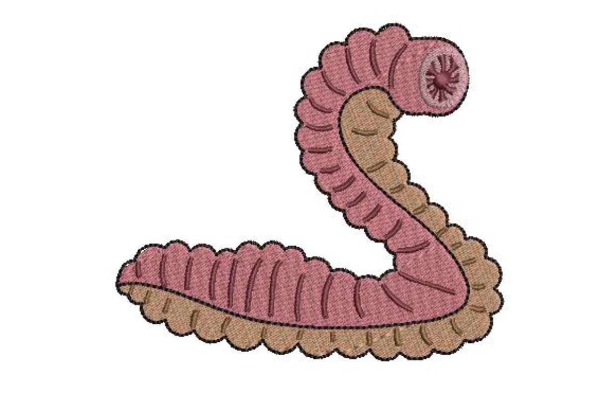 Cryptids