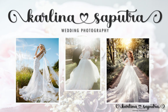 Gloding Sophia Script Font - Preview 6