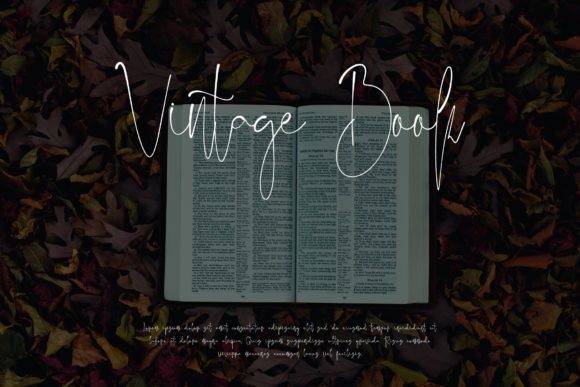 Jelliva Patricia Font PNG with transparent background - Preview 5