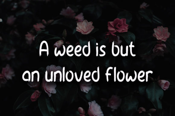 Morning Flowers Font font preview - 1