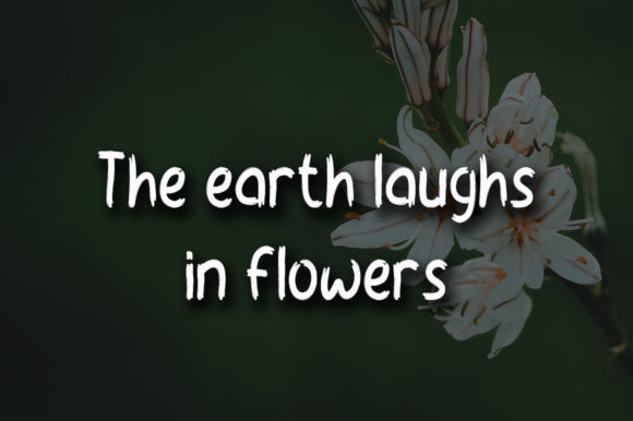 Morning Flowers Font font preview - 2