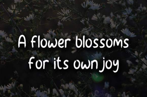 Morning Flowers Font font preview - 3
