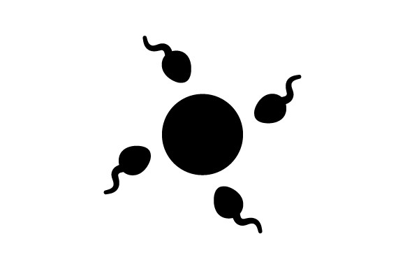 Sperm Icon