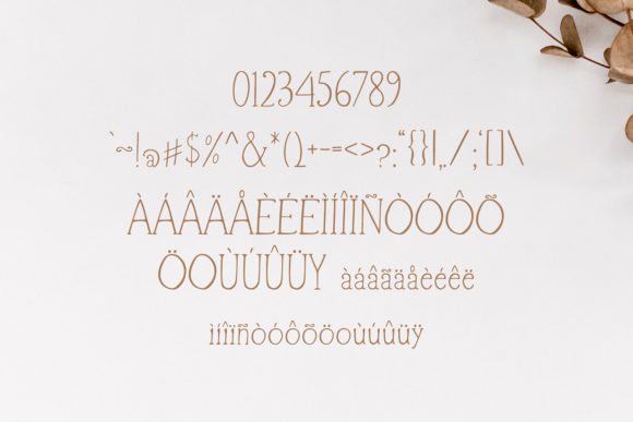 Adeen Font - Preview 2