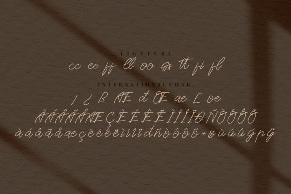 Britties Signature Font - Preview 6