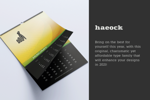 Haeock Family Font - Preview 1