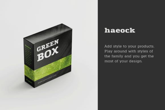 Haeock Family Font - Preview 3