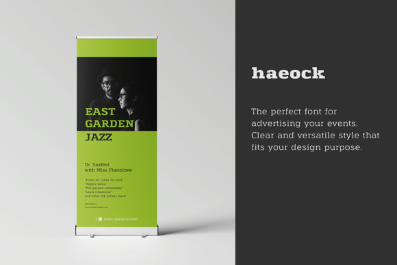 Haeock Family Font - Preview 4