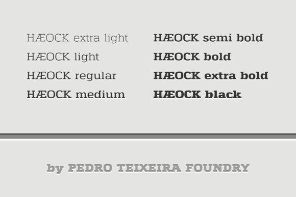 Haeock Family Font - Preview 5