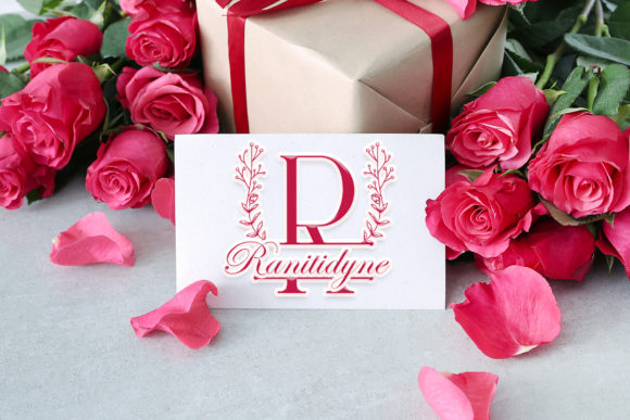 Rose Buds Line Monogram Font PNG with transparent background - Preview 2