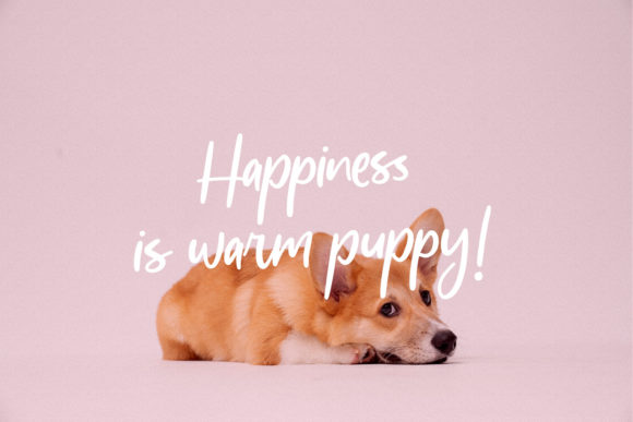 Adoredly Script Font - Preview 3