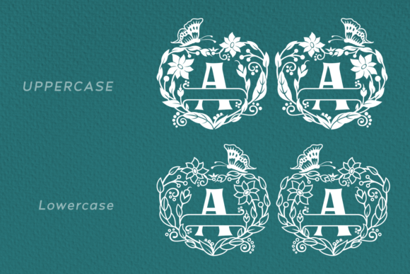 Anecha Font - Preview 1