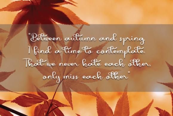 Autumn Font - Preview 1