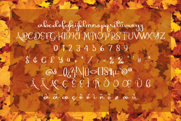Autumn Font - Preview 4