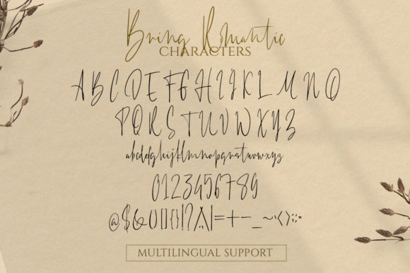 Bring Romantic Font - Preview 4