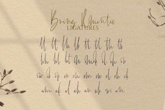 Bring Romantic Font - Preview 5