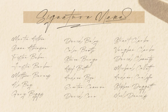 Rostera Signature Font PNG with transparent background - Preview 1