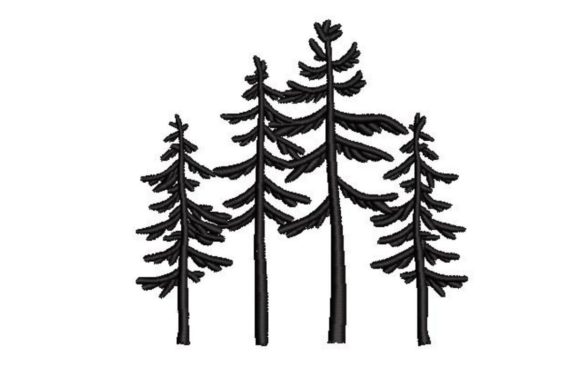Silhouette of Pine Trees