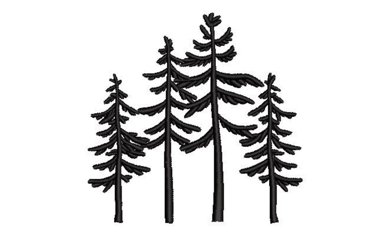 Silhouette of Pine Trees