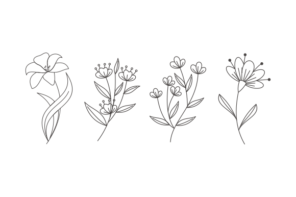 Hand Drawn Flower Collection Vector