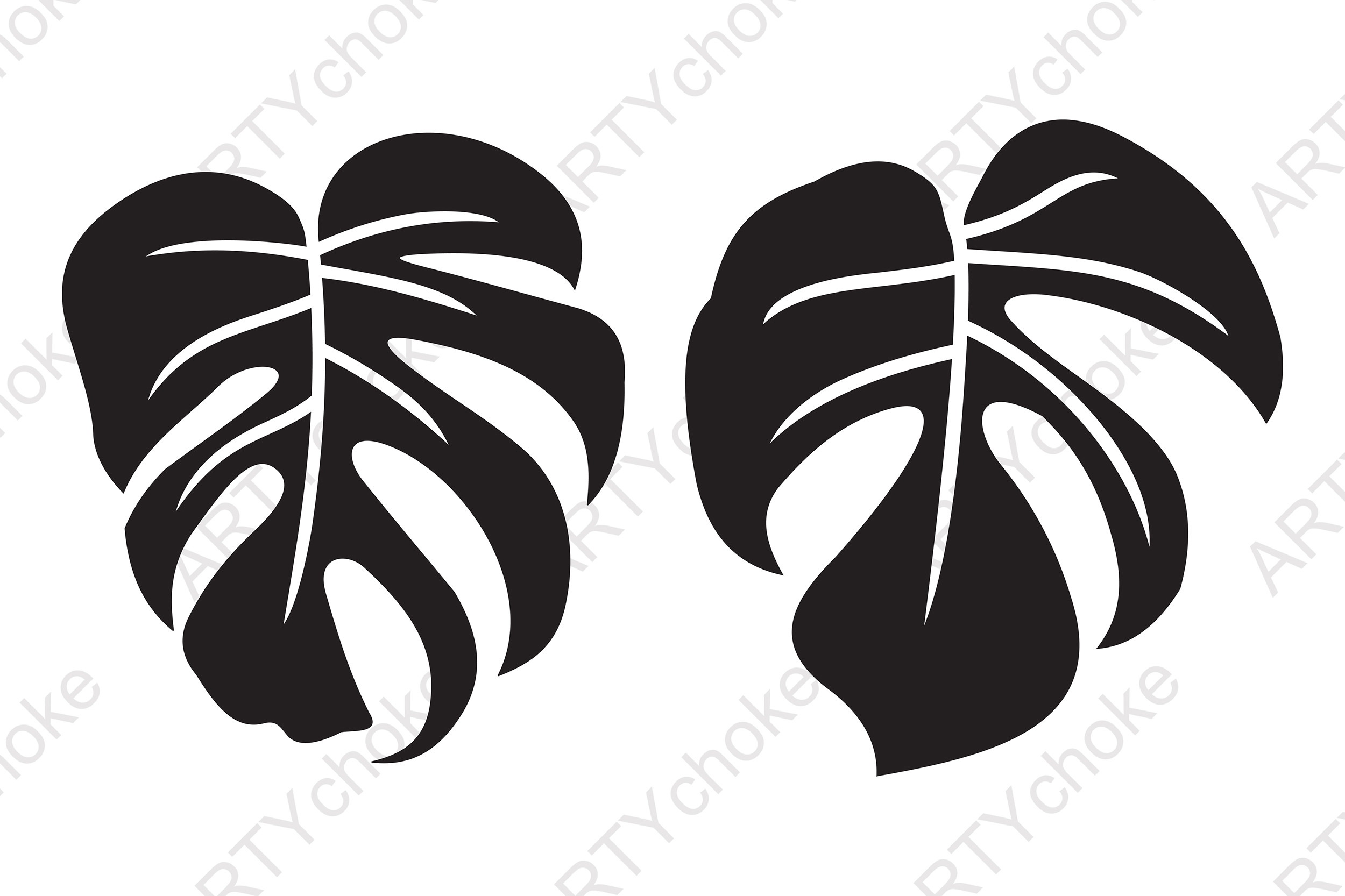 Monstera Leaf. SVG Graphic by artychoke.design  Creative Fabrica