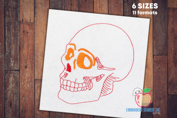 Human Skull Sketch