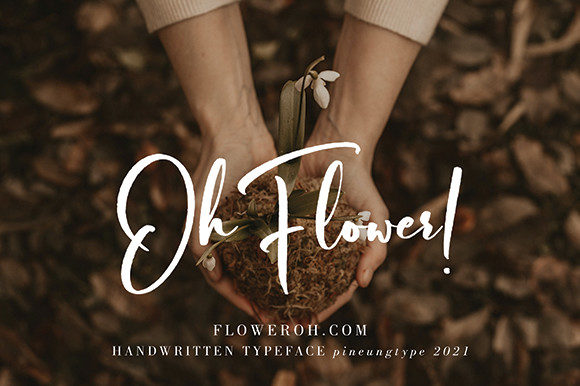 Bilattera Font - Preview 1