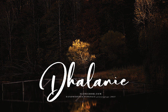 Bilattera Font - Preview 3