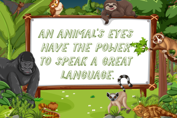 City Zoo Font PNG with transparent background - Preview 2