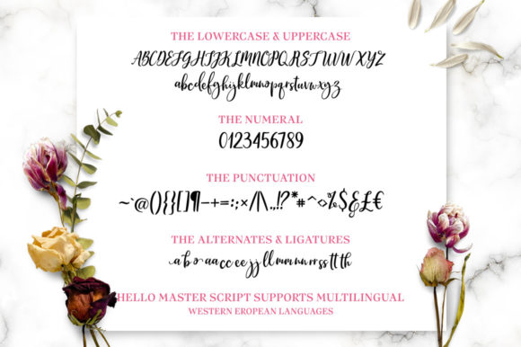 Hello Master Trio Font - Preview 6