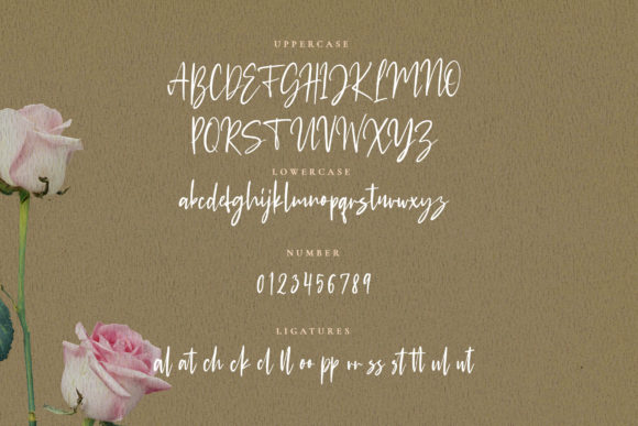Puertofino Font PNG with transparent background - Preview 3