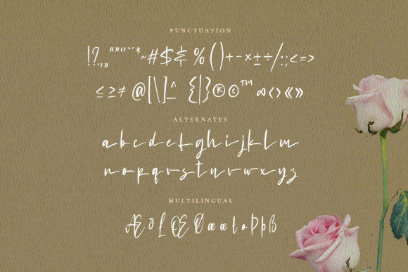 Puertofino Font PNG with transparent background - Preview 4