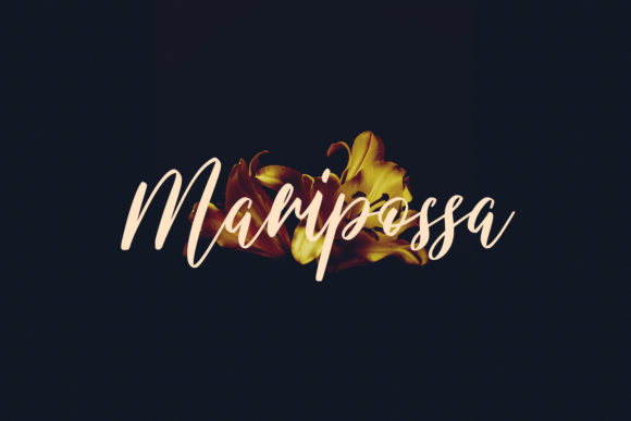 Slowtyfill Font PNG with transparent background - Preview 4
