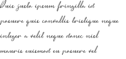 graystera