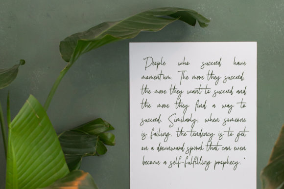 Birdflocks Script Font - Preview 1