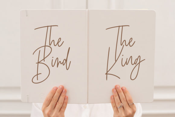 Birdflocks Script Font - Preview 2