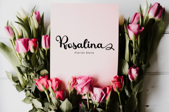 Quinza Font PNG with transparent background - Preview 2