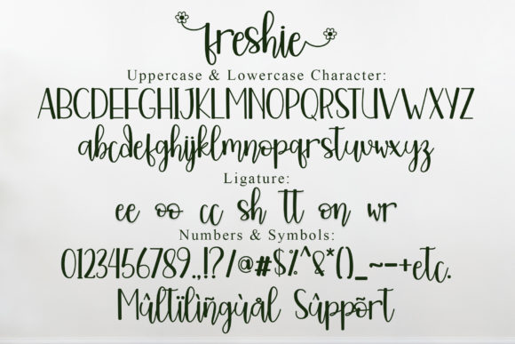 Freshie Font PNG with transparent background - Preview 5