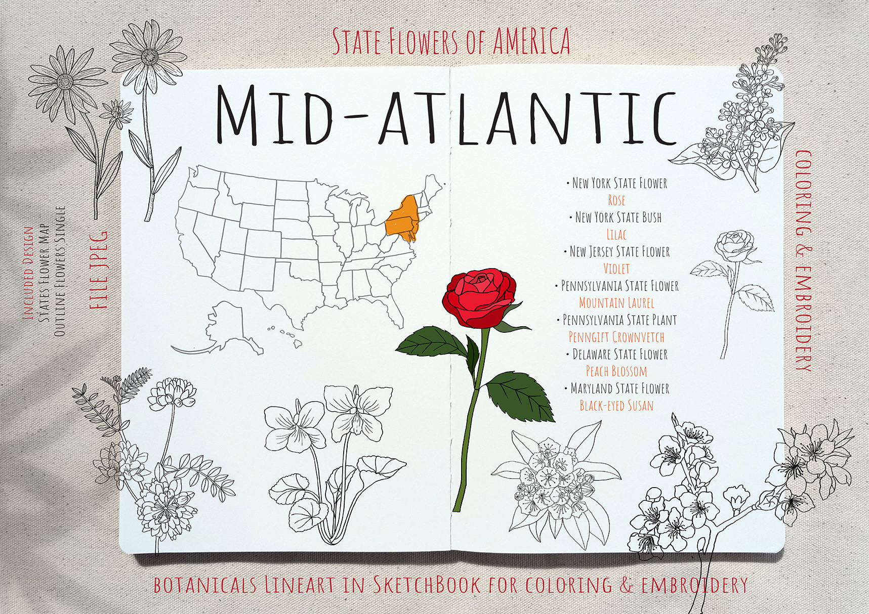 Mid-Atlantic State Flowers
