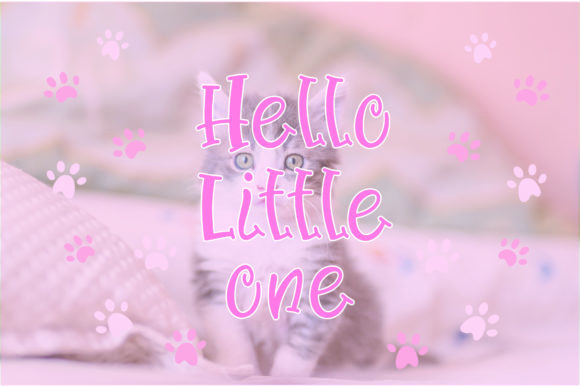 Cutie Cat Font - Preview 3