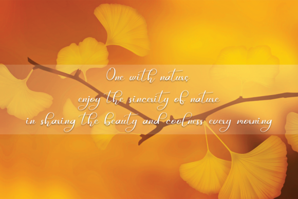 Geisha Font - Preview 3