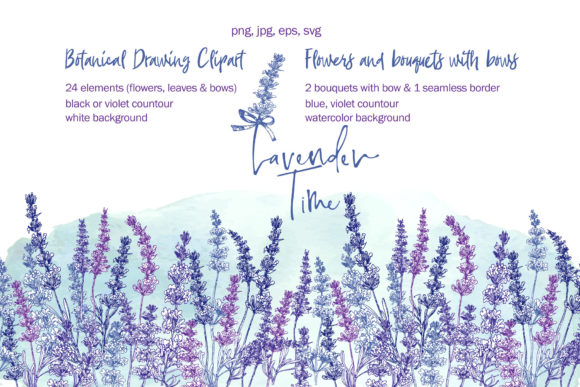 Hand-drawn Lavender Flower, Bouquets