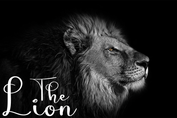 Luxury Signature Font PNG with transparent background - Preview 2