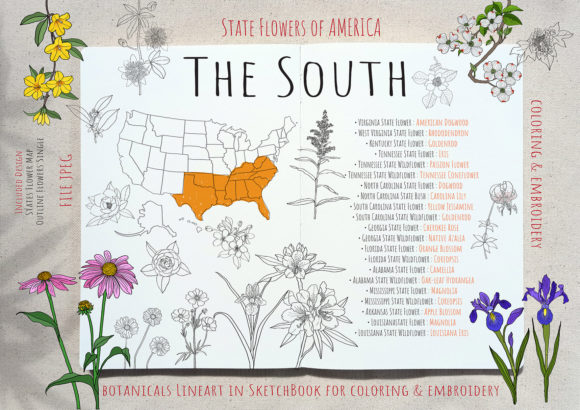 STATE FLOWERS Set 3 : the SOUTH