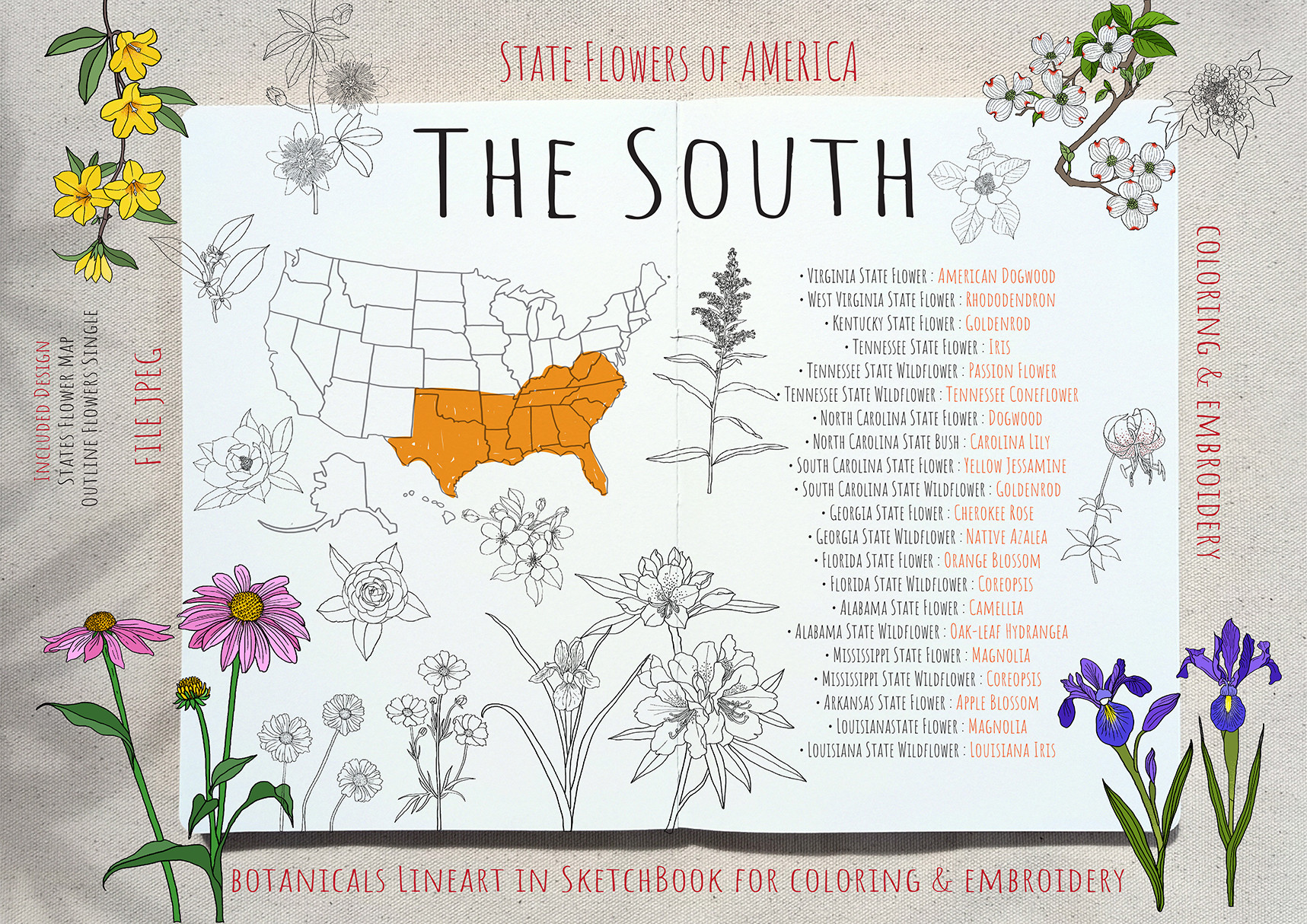 STATE FLOWERS Set 3 : the SOUTH