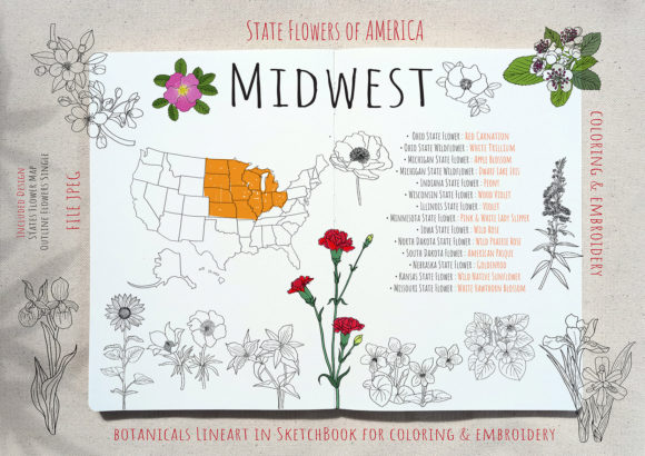 STATE FLOWERS Set 4 : MIDWEST