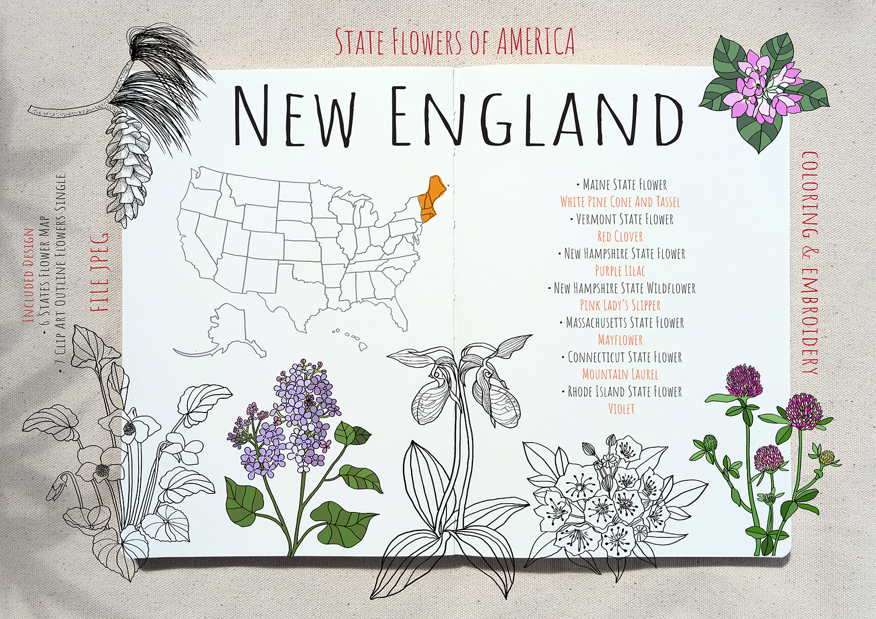 STATES FLOWERS SET 1 : New England